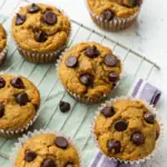 Pumpkin Chocolate Chip Protein Muffins image1